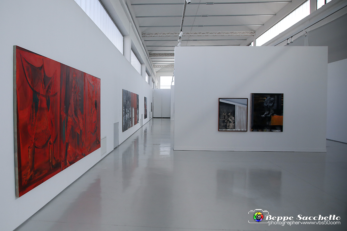 VBS_3396 - Mostra Personale Alessandro Scarabello.jpg